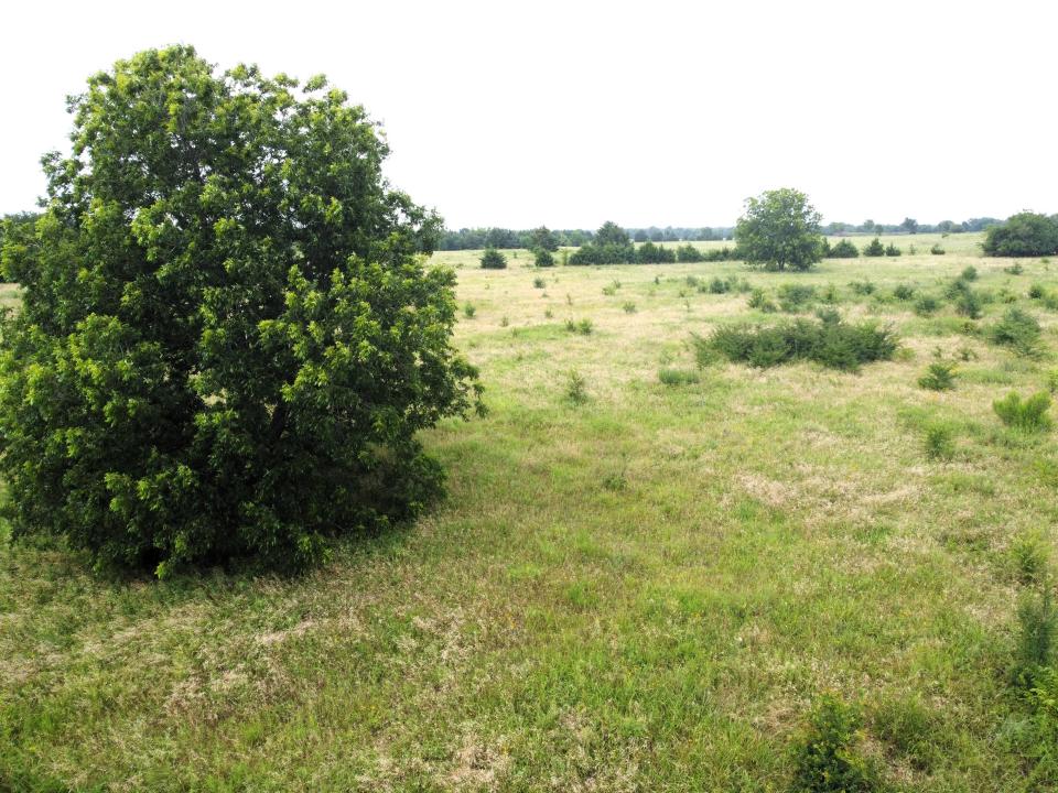 Lot 6 CR 1400, Ravenna, Texas 75476, Stati Uniti