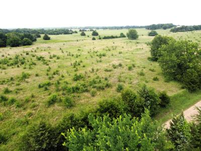 Lot 5 CR 1400, Ravenna, Texas 75476, Stati Uniti