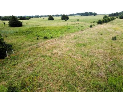 Lot 5 CR 1400, Ravenna, Texas 75476, Stati Uniti