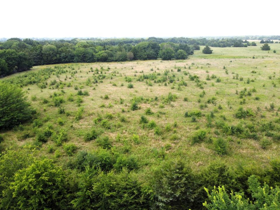 Lot 4 CR 1400, Ravenna, Texas 75476, Stati Uniti