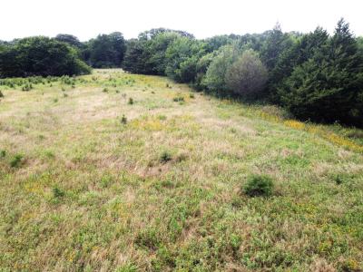 Lot 4 CR 1400, Ravenna, Texas 75476, Stati Uniti
