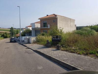 Oliveira do Bairro, Aveiro 3770-101, Portugal