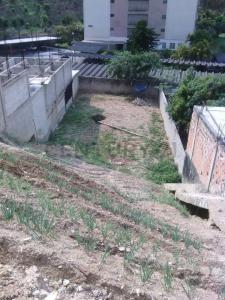 Páez Terreno, Los Teques, Miranda 1210, Venezuela