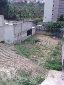 Páez Terreno, Los Teques, Miranda 1210, Venezuela