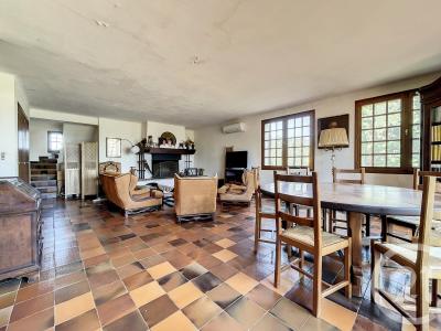 Meze, Languedoc-Roussillon 34140, Francia