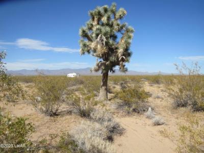 19157 S Doc Holliday Road, Yucca, Arizona 86438, États-Unis
