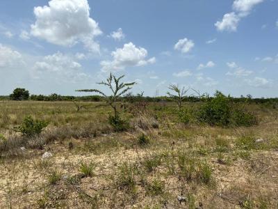 Burrell Boom, Belize District 99999, Belize