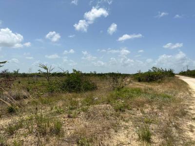 Burrell Boom, Belize District 99999, Belize
