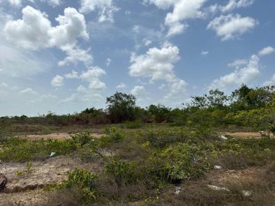 Burrell Boom, Belize District 99999, Belize