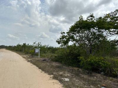 Burrell Boom, Belize District 00001, بيليز 