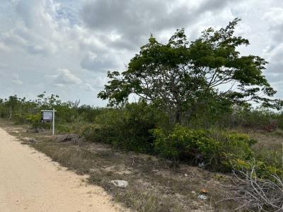 Burrell Boom, Belize District 00001, Bélize