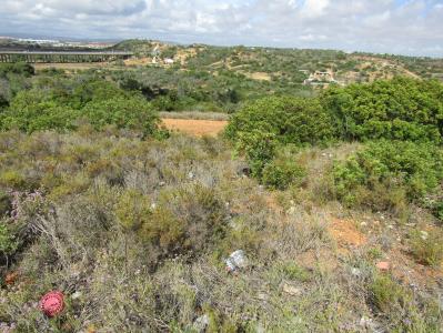 Silves, Faro 8365-200, Portugal