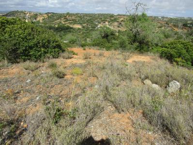 Silves, Faro 8365-200, Portugal