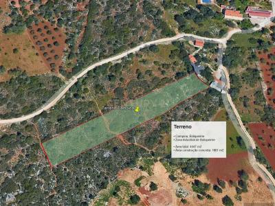 Loulé, 파로 8100-073, 포르투갈