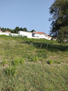 Tomar, Santarem 2430-137, Portugalia