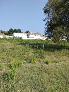 Tomar, Santarem 2430-137, Portugalia