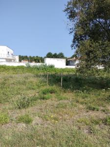 Tomar, Santarem 2430-137, Portugalia