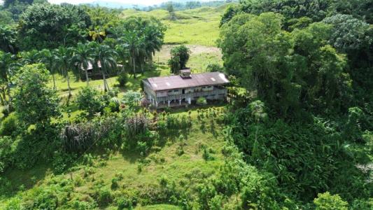 Turrialba Turrialba, Cartago 30510, Costa Rica