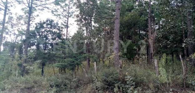 Carr. a 6 km. sobre camino Teopisca - Chijilte s/n,, Teopisca, Chiapas 29410, Mexico