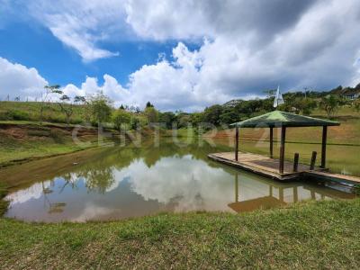 Dagua, Valle Del Cauca 00001, Kolumbien