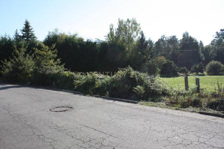 Vila Nova De Cerveira, Viana Do Castelo 4920-008, Portugal