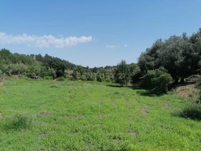 Vila Nova Da Barquinha, Santarem 2260-106, Portugal