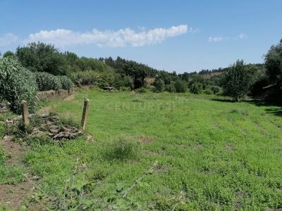 Vila Nova Da Barquinha, 聖塔倫 2260-106, 葡萄牙