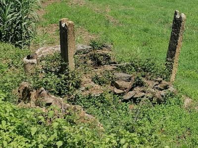 Vila Nova Da Barquinha, 聖塔倫 2260-106, 葡萄牙