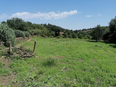 Vila Nova Da Barquinha, 聖塔倫 2260-106, 葡萄牙