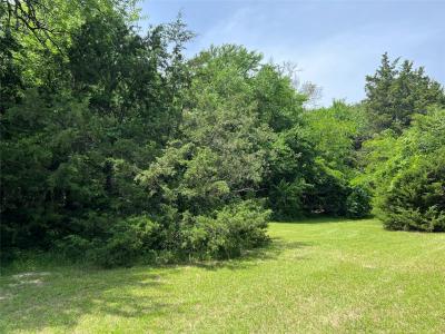 TBD VZCR 3810, Wills Point, Texas 75169, États-Unis