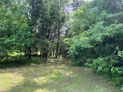 TBD VZCR 3810, Wills Point, Texas 75169, États-Unis