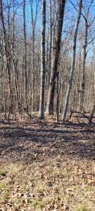 0 Eagle Shore Dr, Dover, Tennessee 37058, Estados Unidos