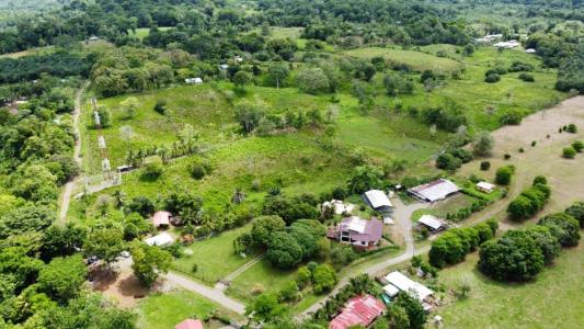 Península De Osa Puerto Jiménez Golfito, Puntarenas 00001, Costa Rica