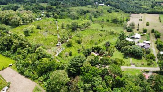 Península De Osa Puerto Jiménez Golfito, Puntarenas 00001, Costa Rica