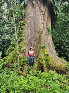 Península De Osa Puerto Jiménez Golfito, Puntarenas 00001, Costa Rica