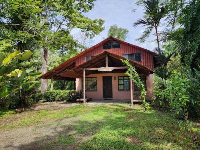 Península De Osa Puerto Jiménez Golfito, Puntarenas 00001, Costa Rica