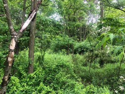 129 Ridgecrest Dr, South Buffalo Twp, Pennsylvanie 16229, États-Unis