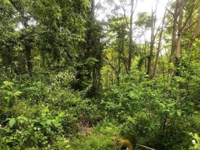 129 Ridgecrest Dr, South Buffalo Twp, Pennsylvania 16229, USA
