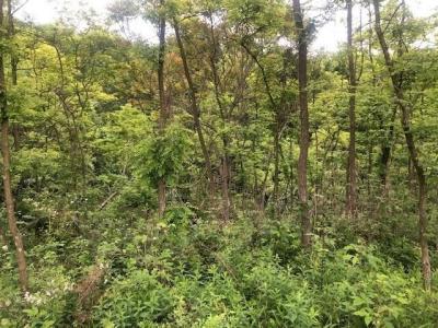 129 Ridgecrest Dr, South Buffalo Twp, Pennsylvanie 16229, États-Unis