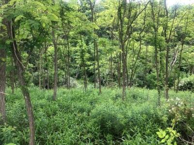 129 Ridgecrest Dr, South Buffalo Twp, Pennsylvanie 16229, États-Unis