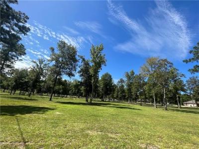 720 SUNRISE Drive, Deville, Louisiana 71328
