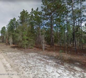 Lot 47 River St, Interlachen, Floryda 32148, USA
