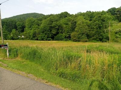3323 Rugby Road, Mouth Of Wilson, Virginia 24363, USA
