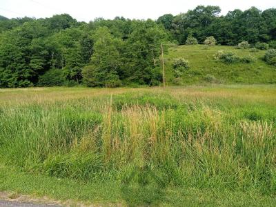3323 Rugby Road, Mouth Of Wilson, Virginie 24363, États-Unis