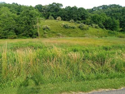 3323 Rugby Road, Mouth Of Wilson, Virginie 24363, États-Unis