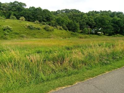 3323 Rugby Road, Mouth Of Wilson, Virginia 24363, USA