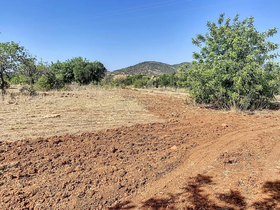 파로, 파로 8005-483, 포르투갈