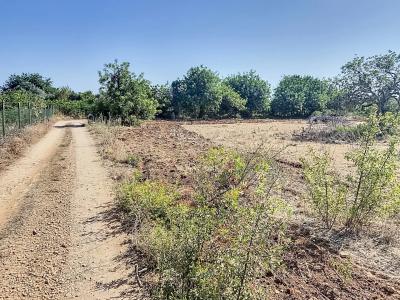 파로, 파로 8005-483, 포르투갈