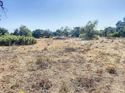 파로, 파로 8005-483, 포르투갈