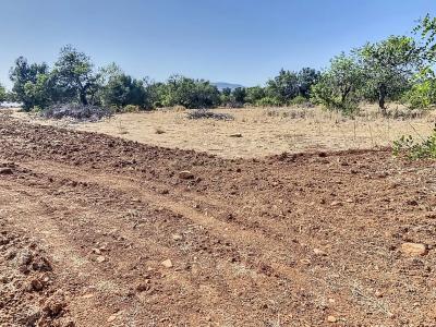 파로, 파로 8005-483, 포르투갈